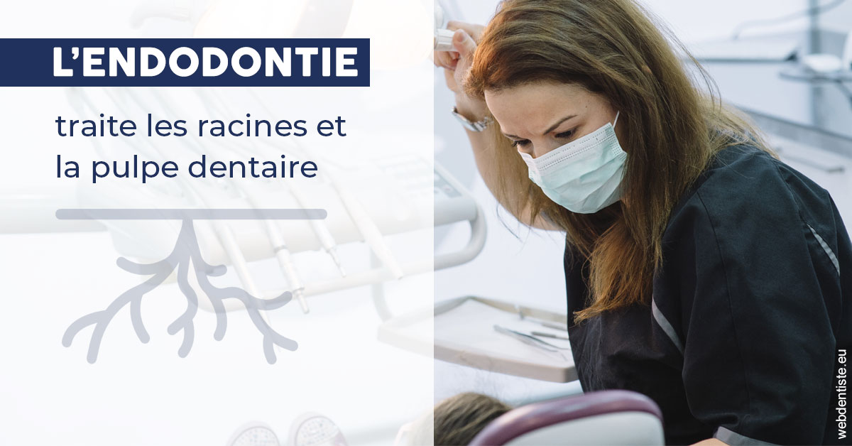 https://dr-patrick-bermot.chirurgiens-dentistes.fr/L'endodontie 1