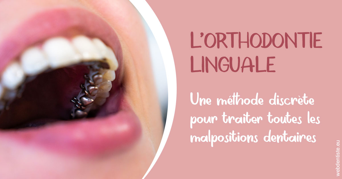 https://dr-patrick-bermot.chirurgiens-dentistes.fr/L'orthodontie linguale 2