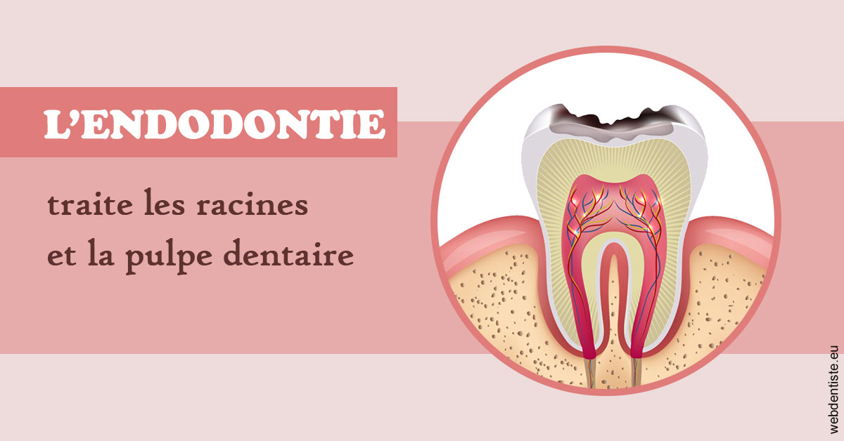 https://dr-patrick-bermot.chirurgiens-dentistes.fr/L'endodontie 2