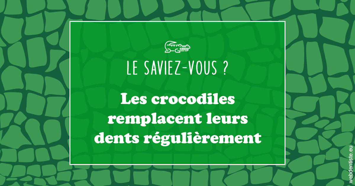 https://dr-patrick-bermot.chirurgiens-dentistes.fr/Crocodiles 1